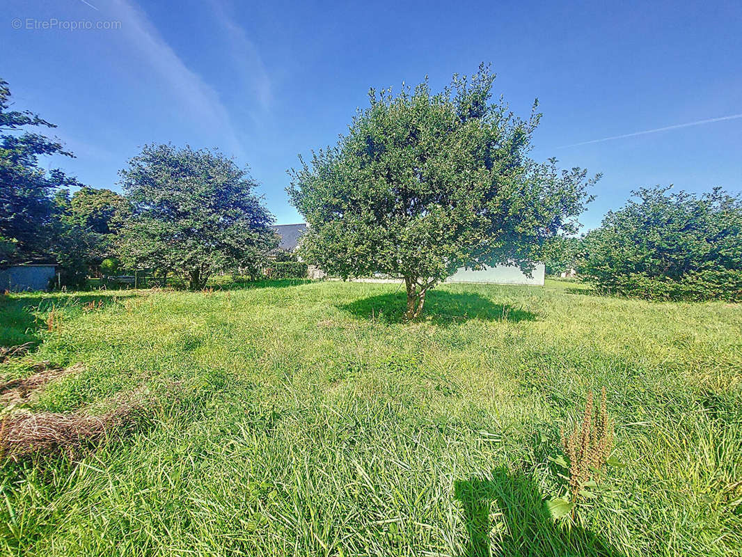 Terrain à SAINTE-LUCE-SUR-LOIRE