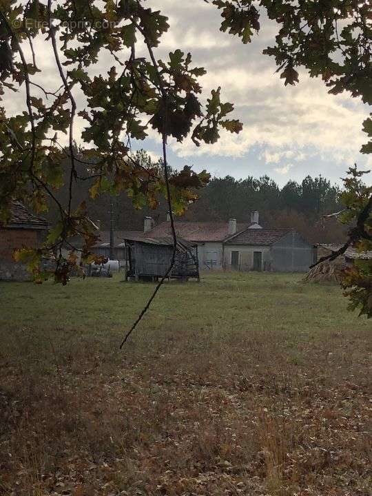 Maison ancienne en pierre avec grand terrain, près et bois - Maison à NAUJAC-SUR-MER