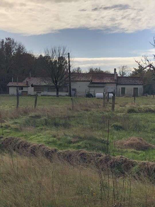 Maison ancienne en pierre avec grand terrain, près et bois - Maison à NAUJAC-SUR-MER