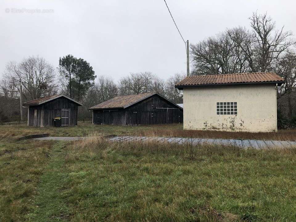 Maison à NAUJAC-SUR-MER