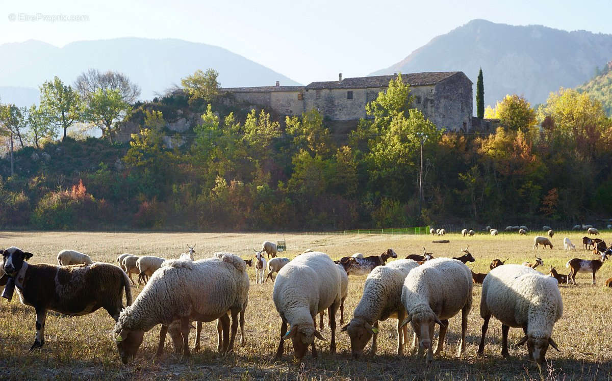 Maison à SISTERON