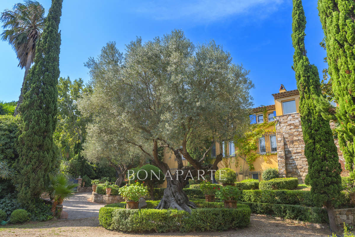 Maison à RAMATUELLE