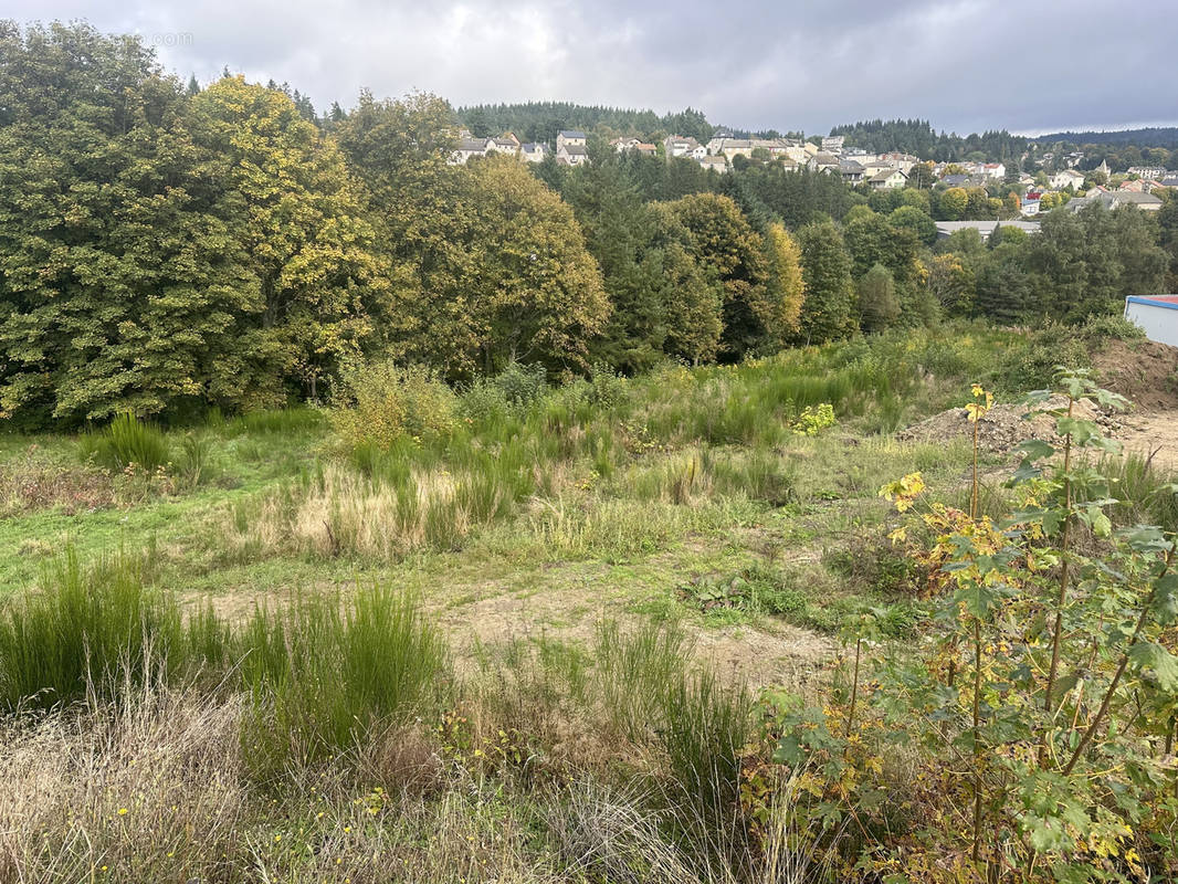 Terrain à LE CHAMBON-SUR-LIGNON