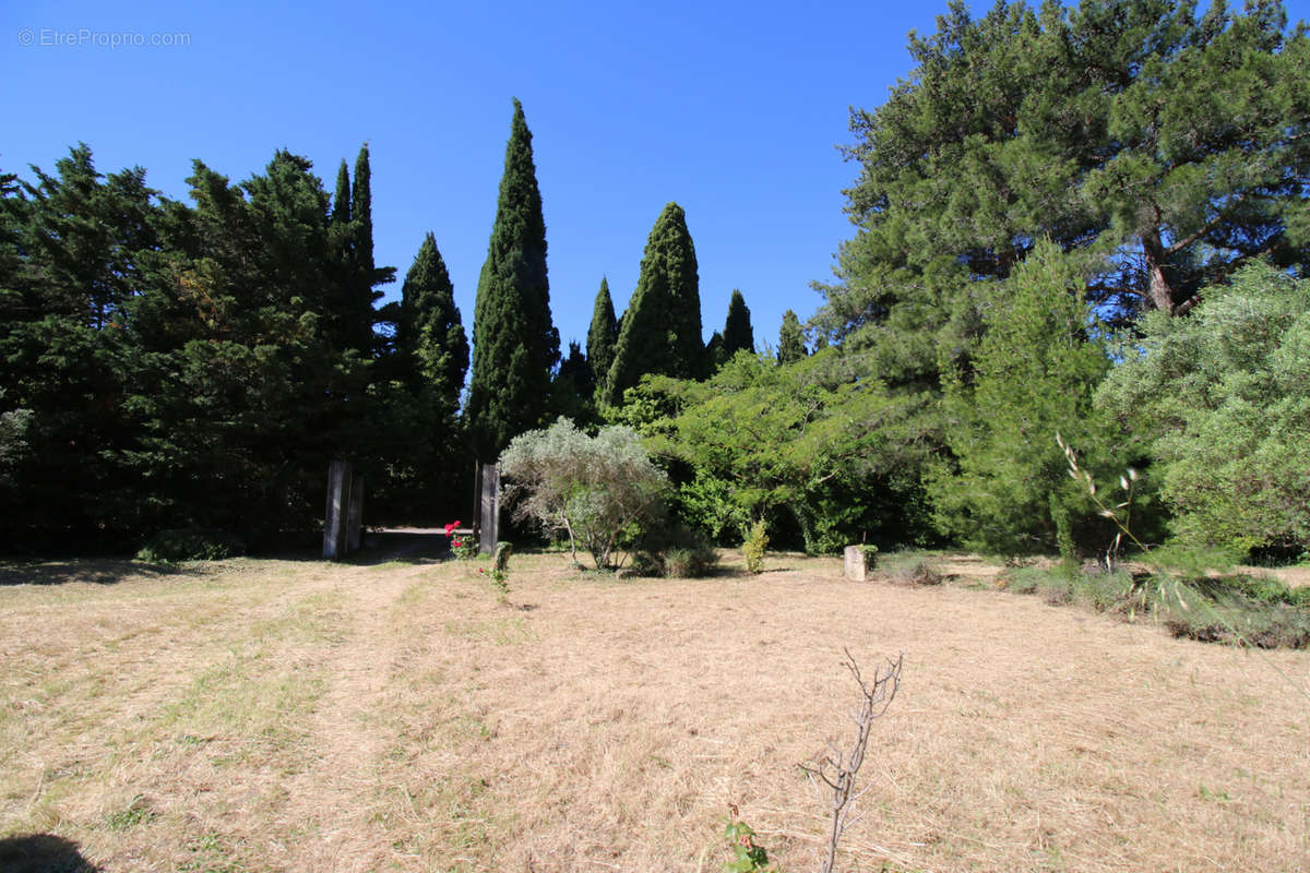 Maison à SAINT-REMY-DE-PROVENCE