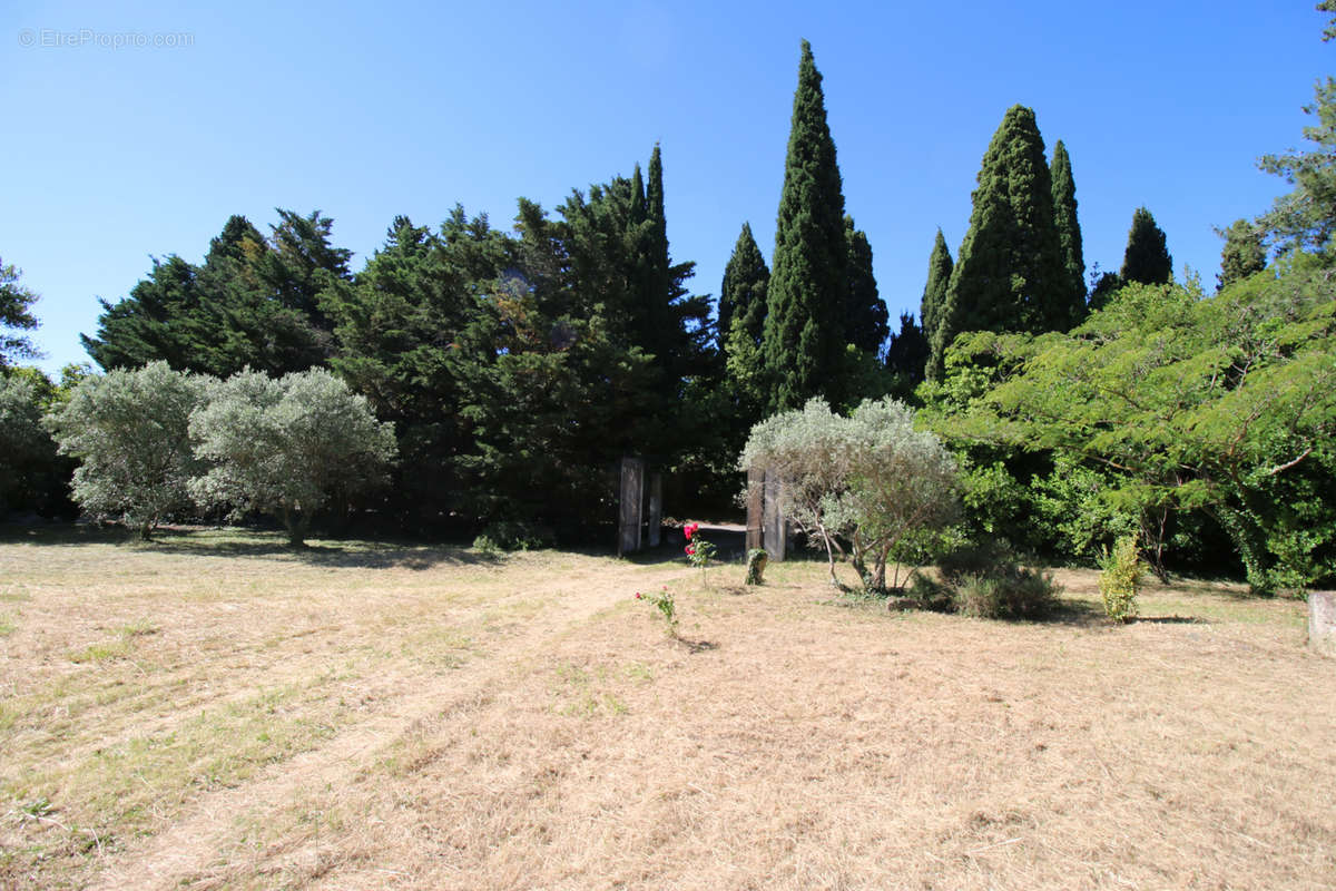 Maison à SAINT-REMY-DE-PROVENCE