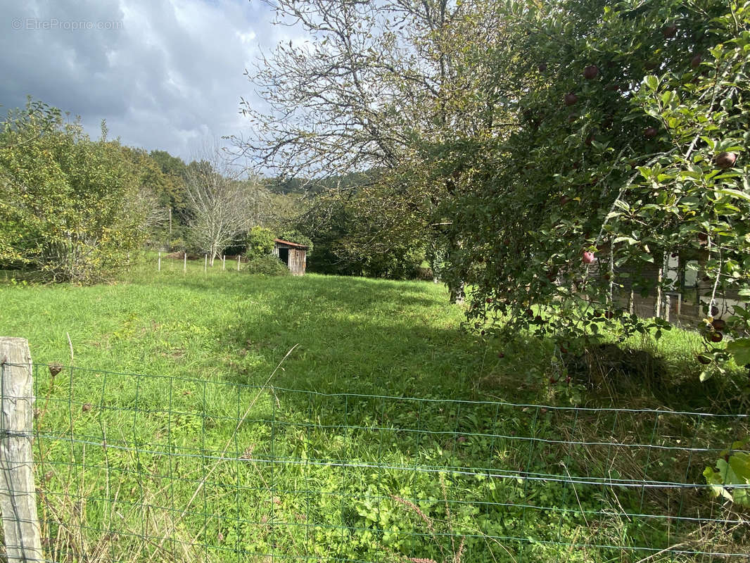 Terrain à ARGENTAT