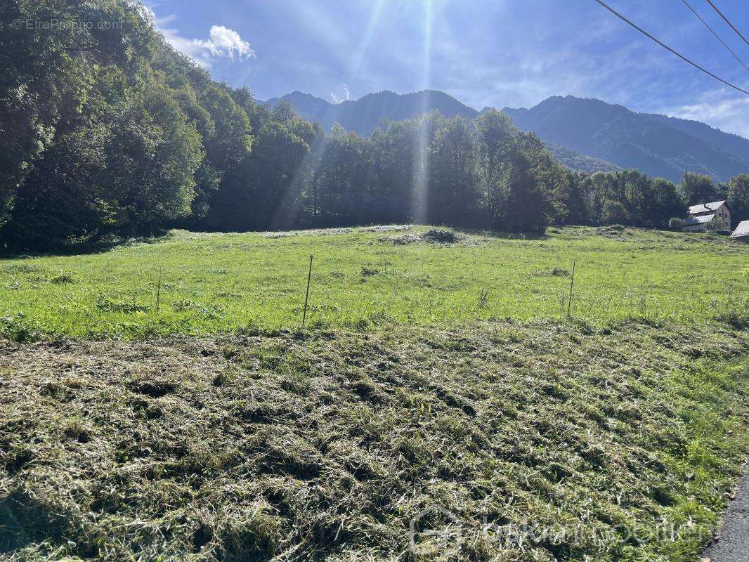 Terrain à ARGENTINE