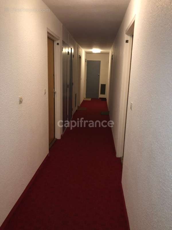 Appartement à RISOUL