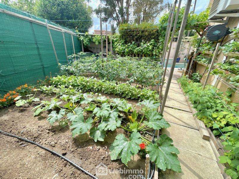 Jardin avec son potager, la villa possède un garage de 17m2 et un espace cellier et cave - Maison à SAINTE-MAXIME