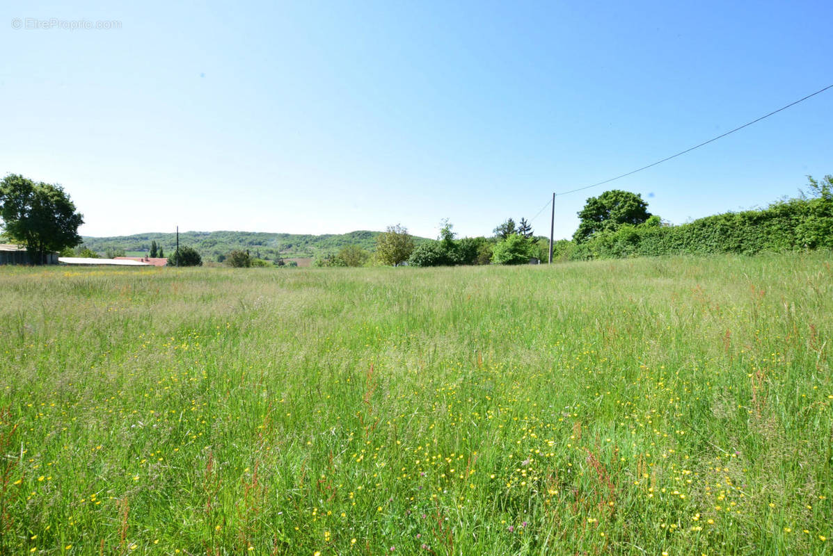 DSC_1064 - Terrain à AURIGNAC