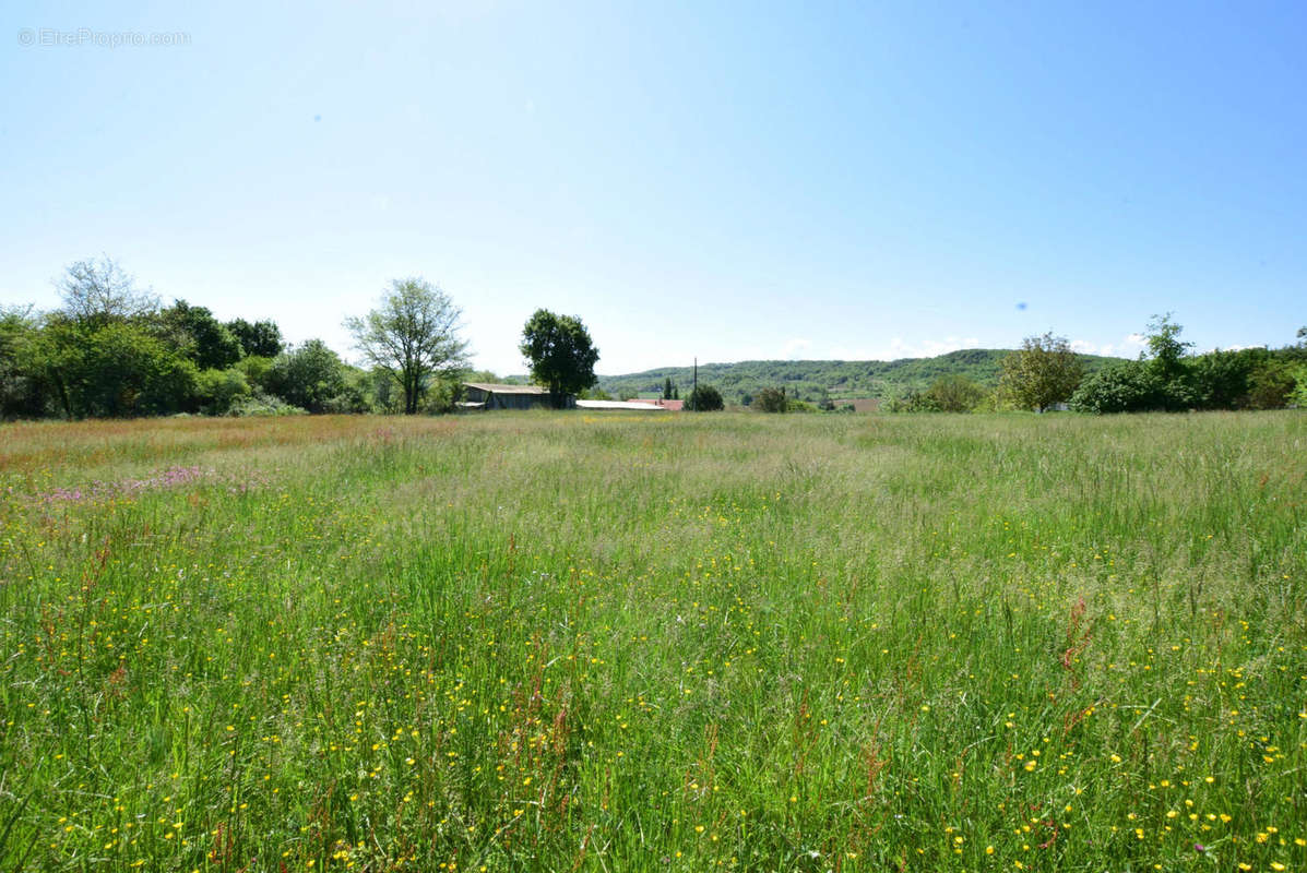 DSC_1065 - Terrain à AURIGNAC