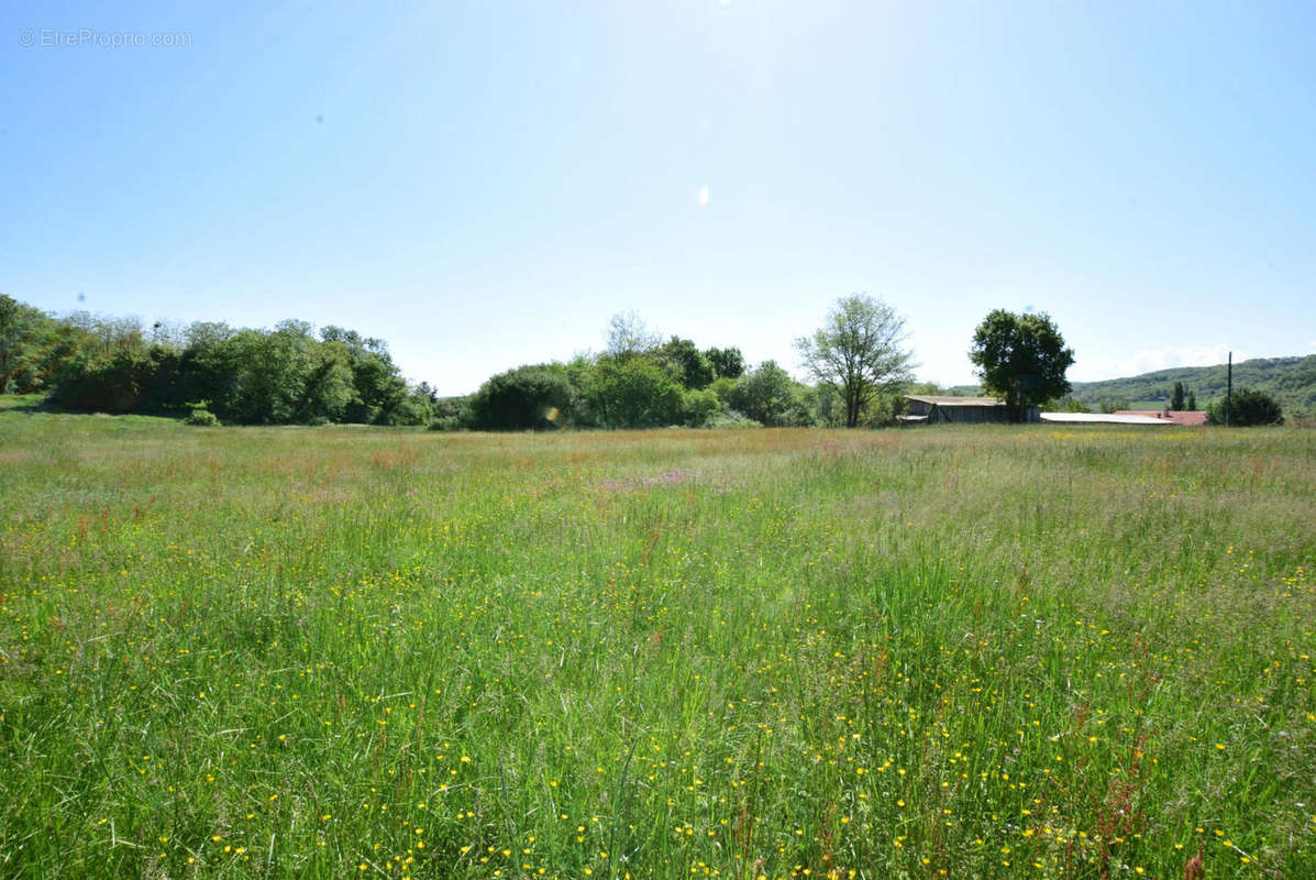 DSC_1066 - Terrain à AURIGNAC