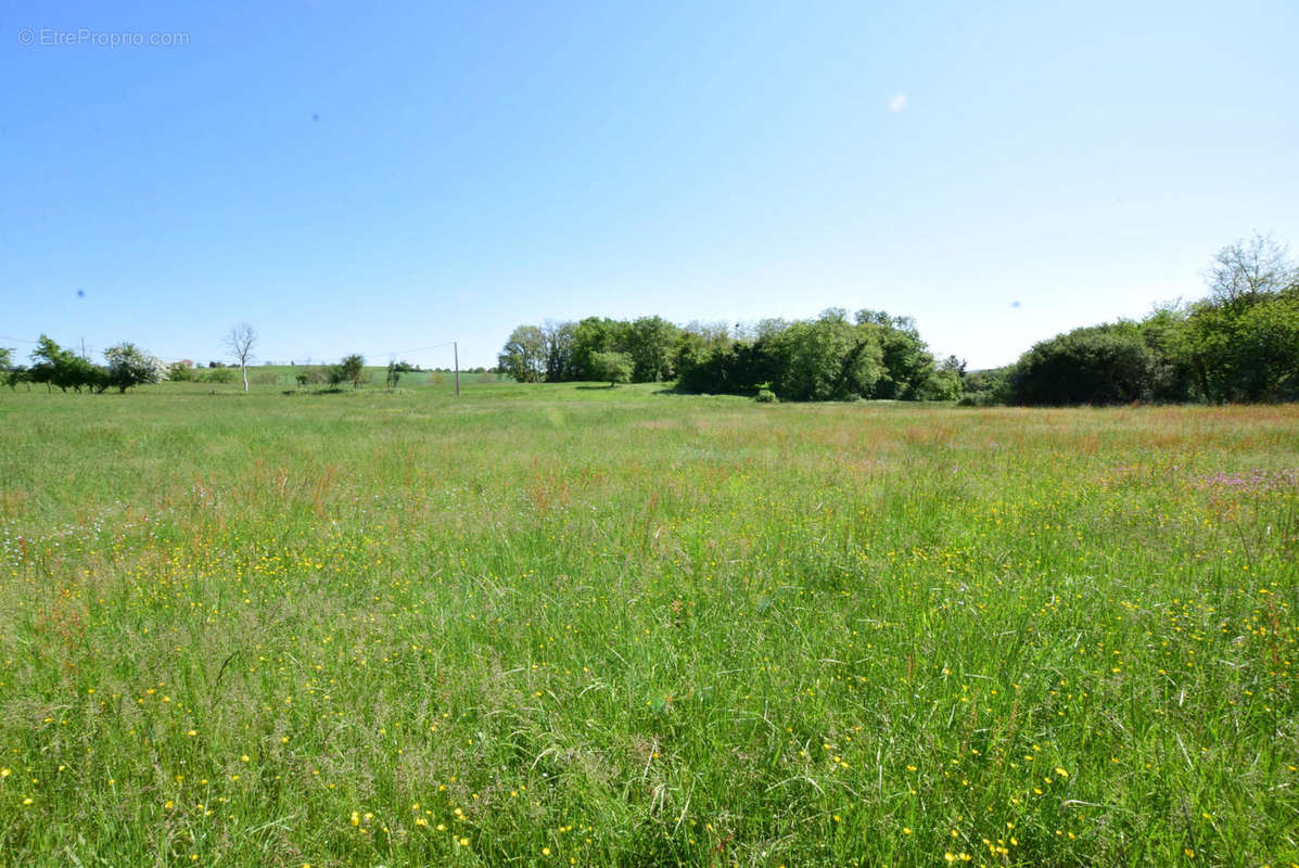 DSC_1067 - Terrain à AURIGNAC