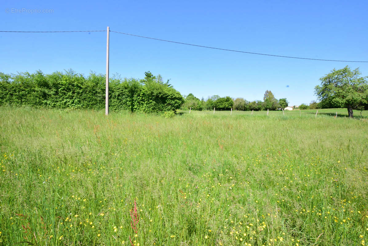 DSC_1070 - Terrain à AURIGNAC