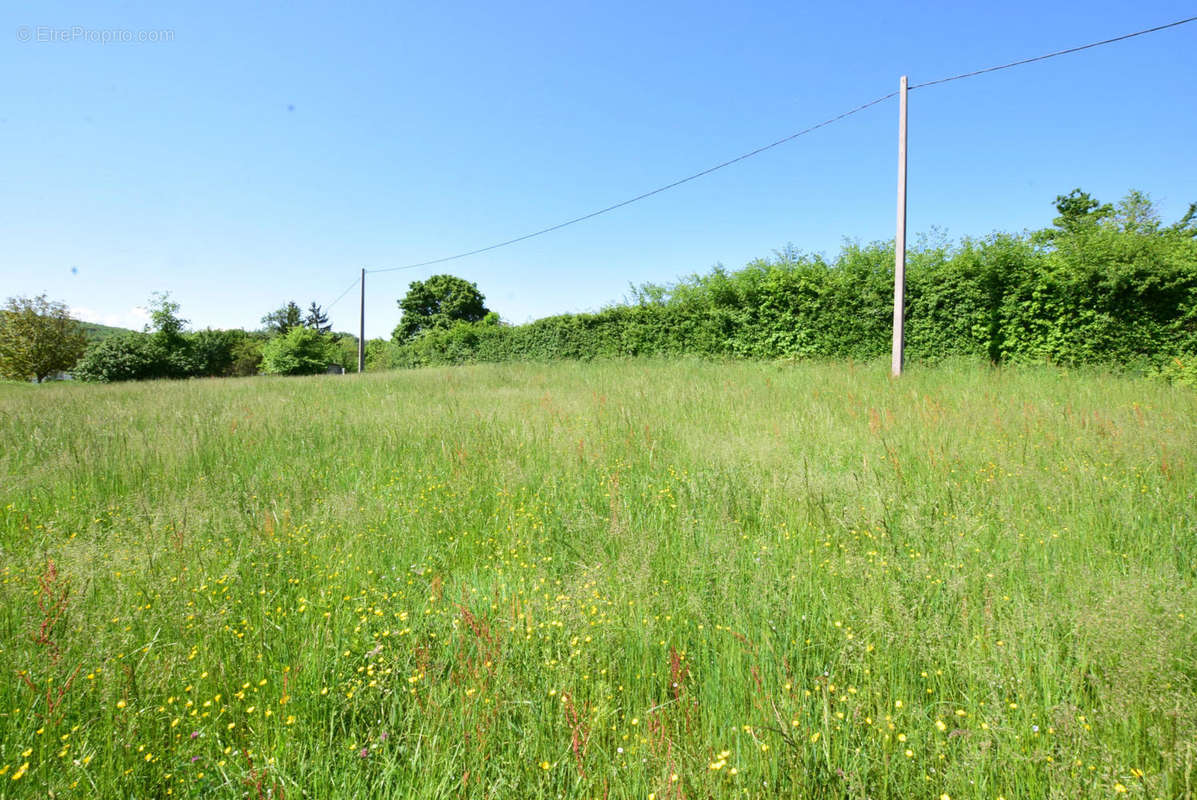 DSC_1071 - Terrain à AURIGNAC