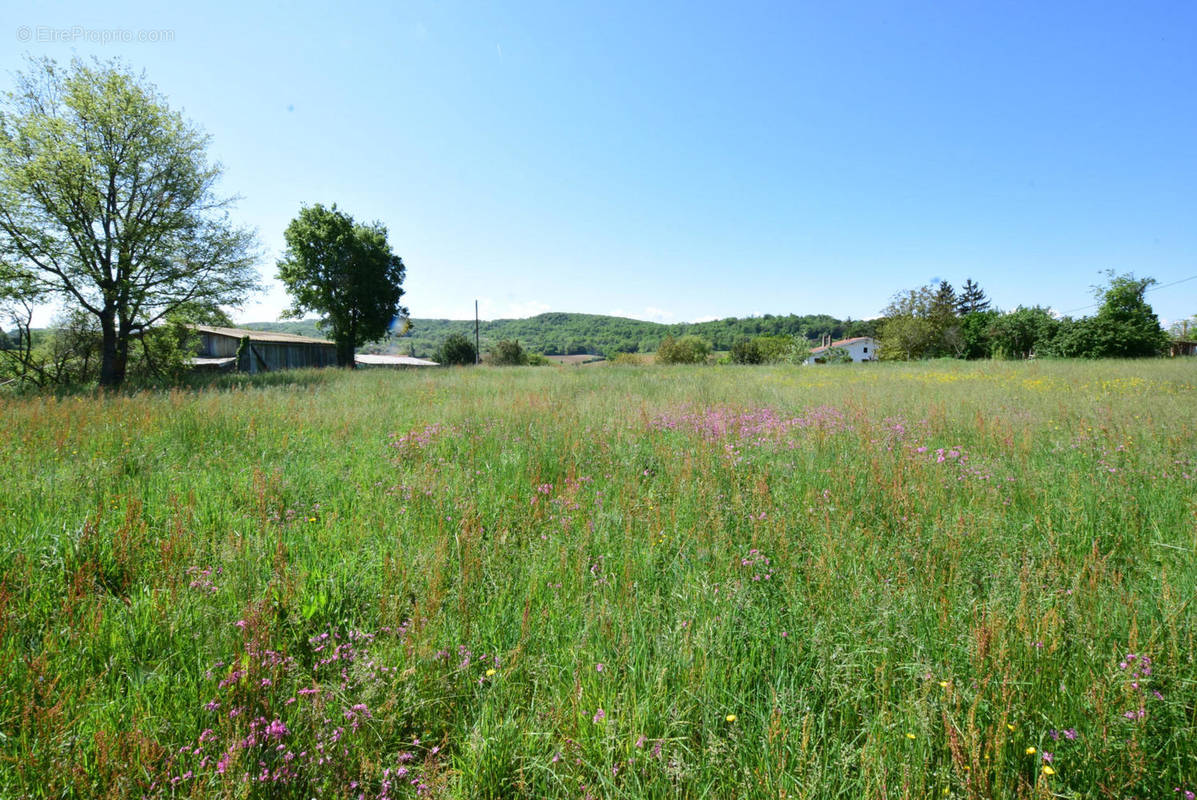 DSC_1056 - Terrain à AURIGNAC