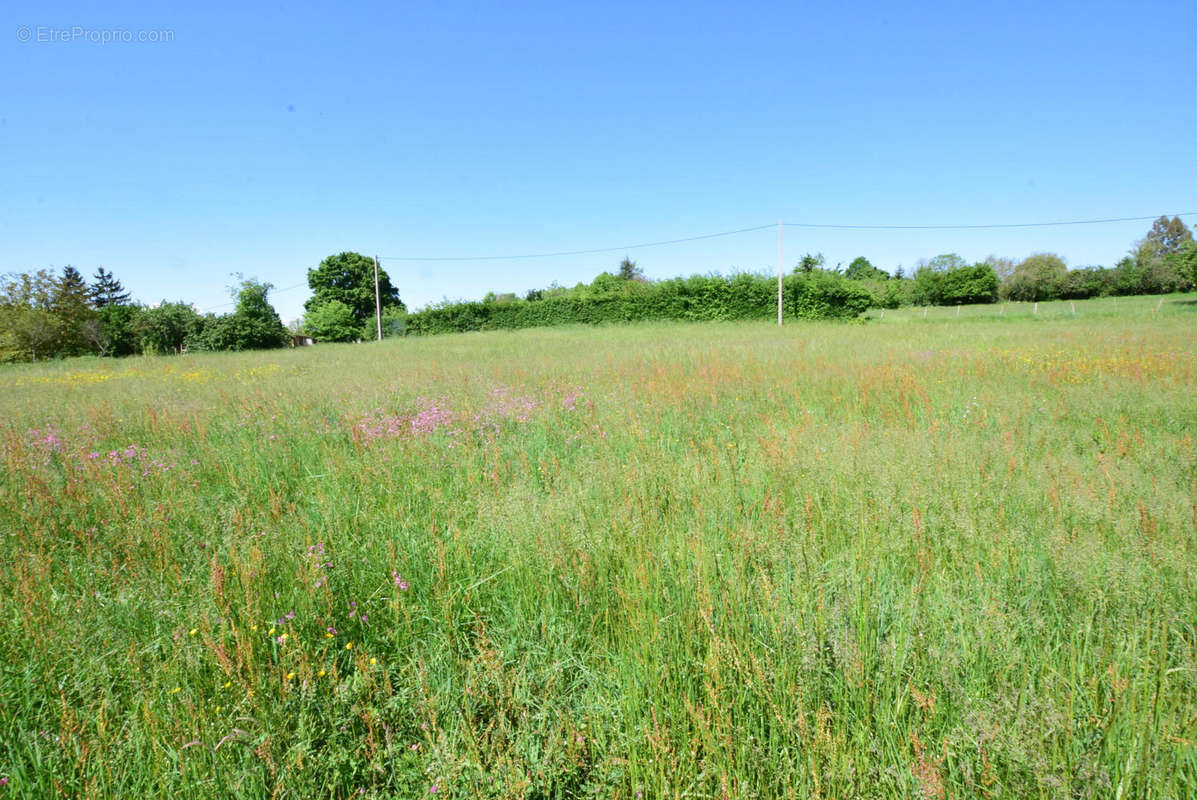 DSC_1061 - Terrain à AURIGNAC