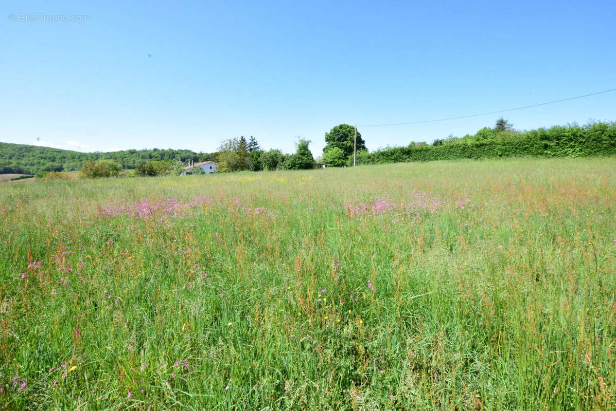 DSC_1062 - Terrain à AURIGNAC