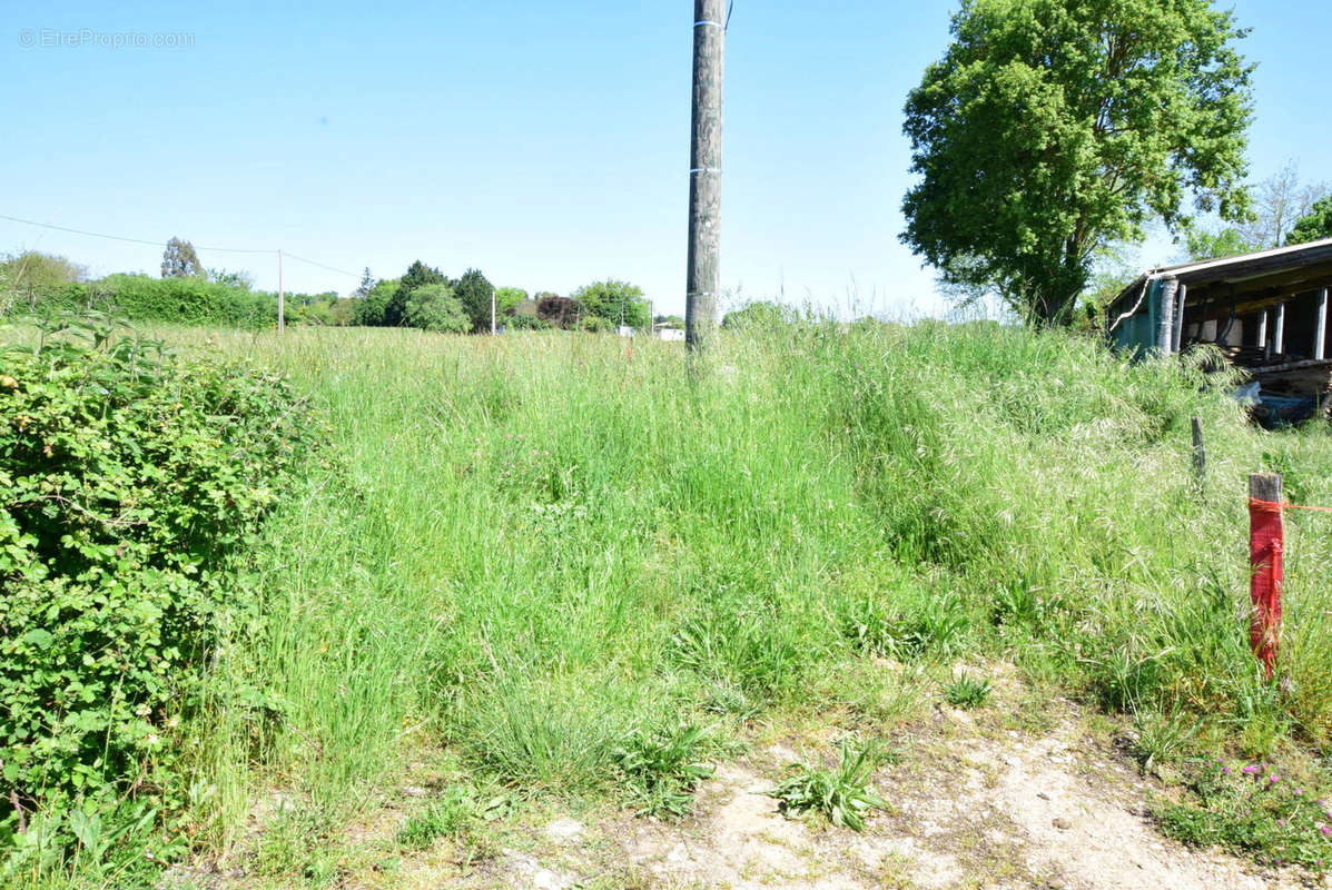 accès - Terrain à AURIGNAC