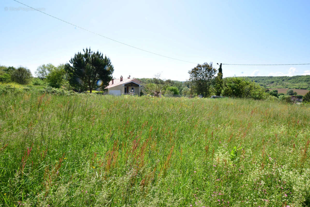 DSC_1050 - Terrain à AURIGNAC