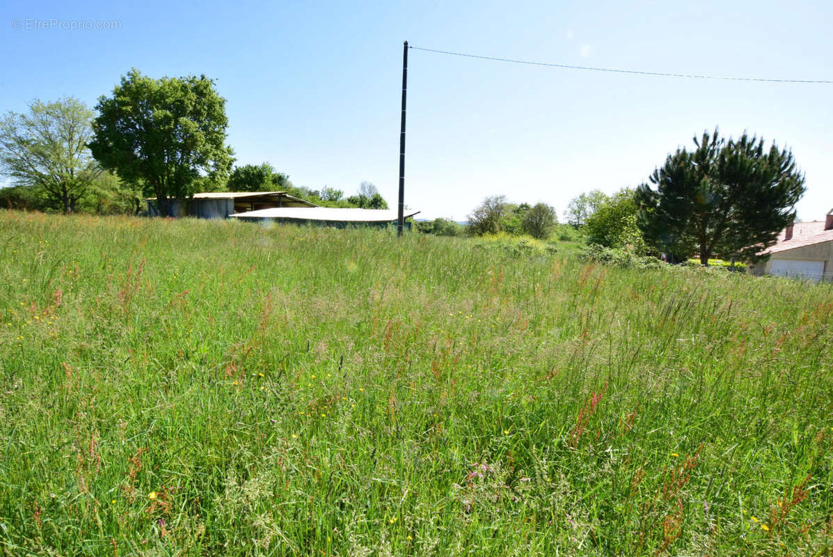 DSC_1051 - Terrain à AURIGNAC