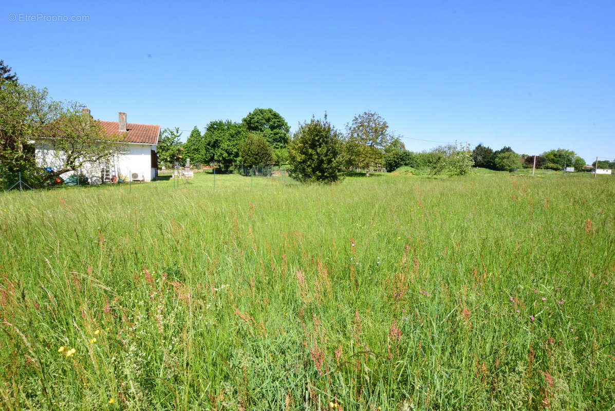 DSC_1053 - Terrain à AURIGNAC