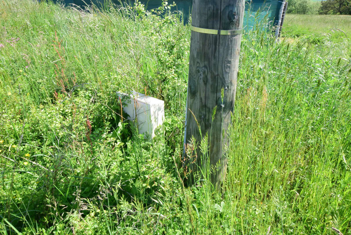 élec - Terrain à AURIGNAC