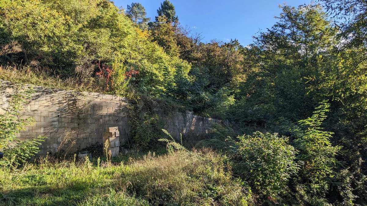 Terrain à LE COLLET-DE-DEZE