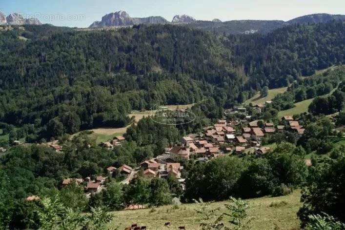 Terrain à BRIZON