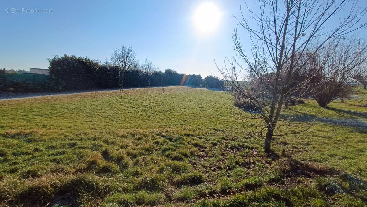 Terrain à SANTEAU