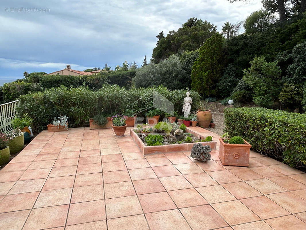 Maison à ROQUEBRUNE-SUR-ARGENS