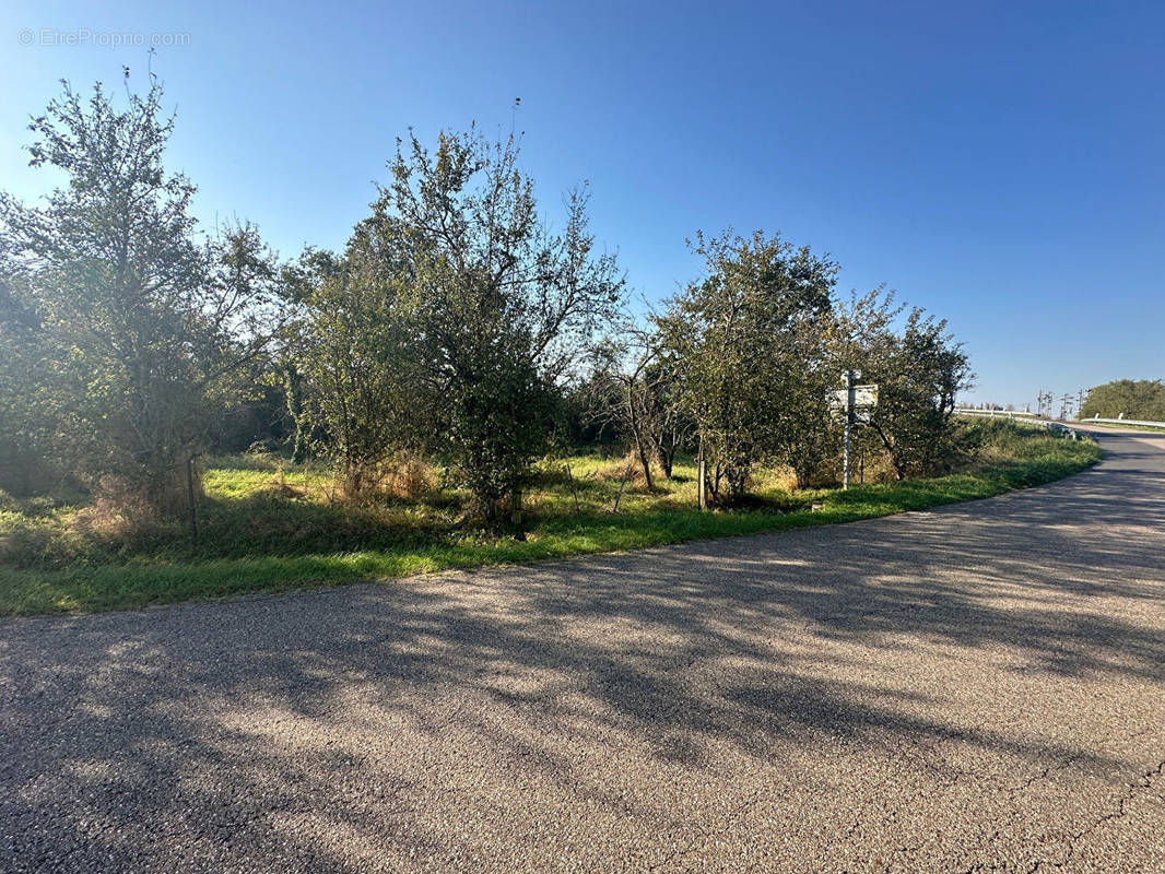 Terrain à COURCELLES-SUR-NIED