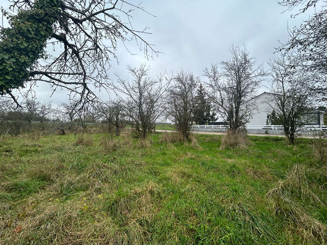 Terrain à COURCELLES-SUR-NIED