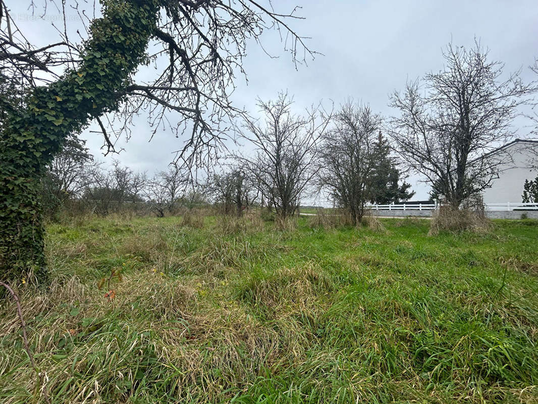 Terrain à COURCELLES-SUR-NIED