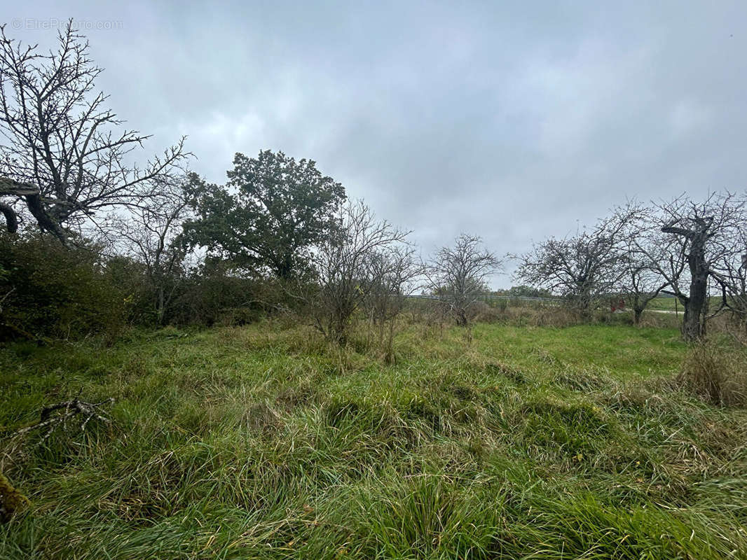 Terrain à COURCELLES-SUR-NIED