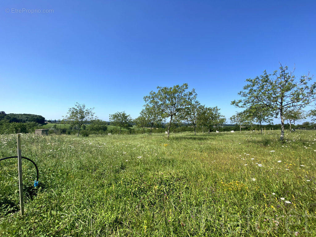 Terrain à COLIGNY