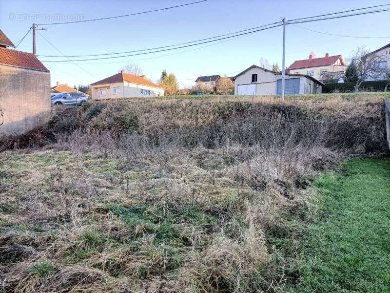 Terrain à ROHRBACH-LES-BITCHE