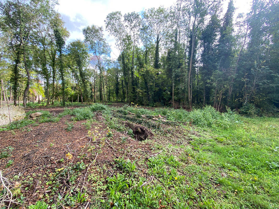 Terrain à MONTFORT-L&#039;AMAURY