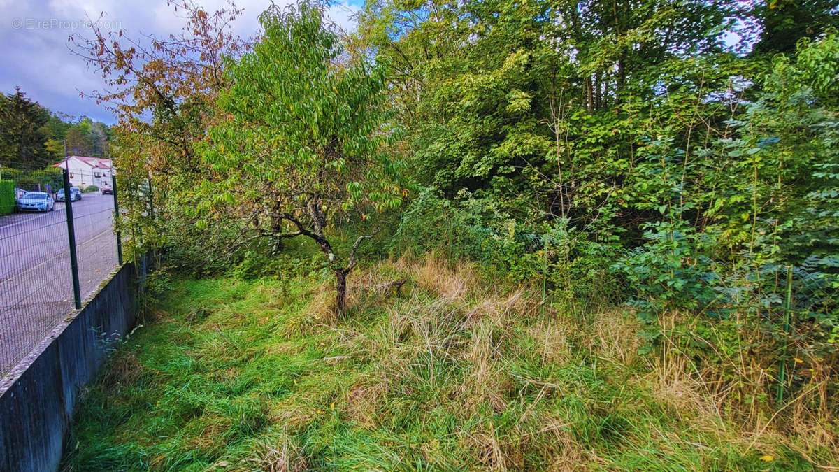 Terrain à VAUX