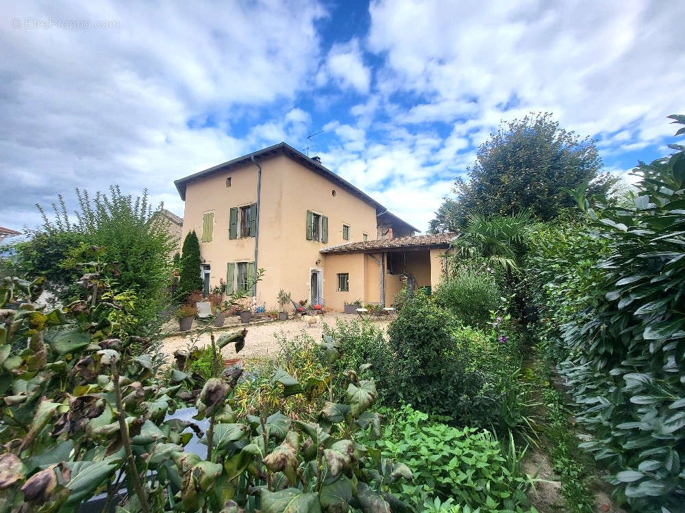 Maison à SAINT-DIDIER-SUR-CHALARONNE