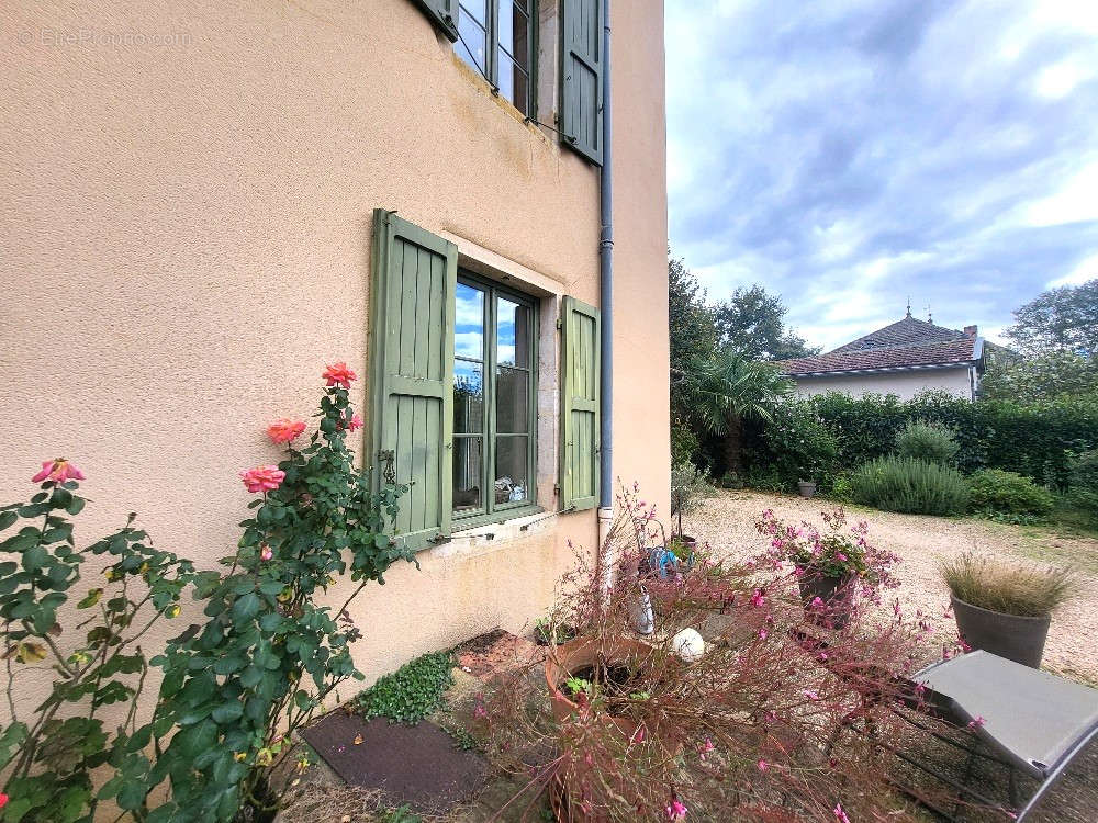 Maison à SAINT-DIDIER-SUR-CHALARONNE