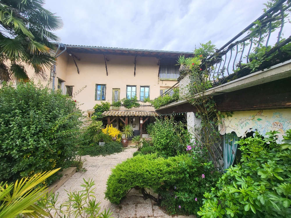 Maison à SAINT-DIDIER-SUR-CHALARONNE