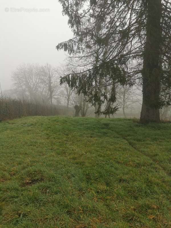 Terrain à LA NEUVILLE-EN-BEINE