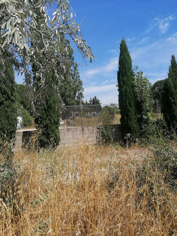 Autre à SOLLIES-PONT