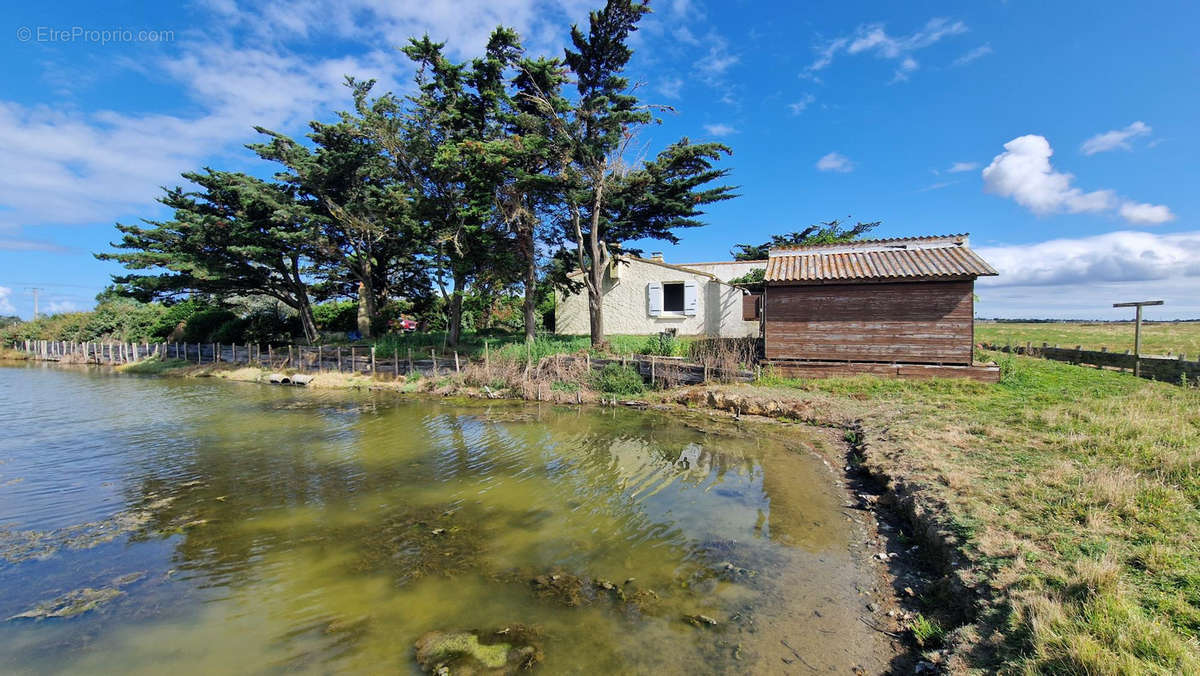 Maison à BOUIN