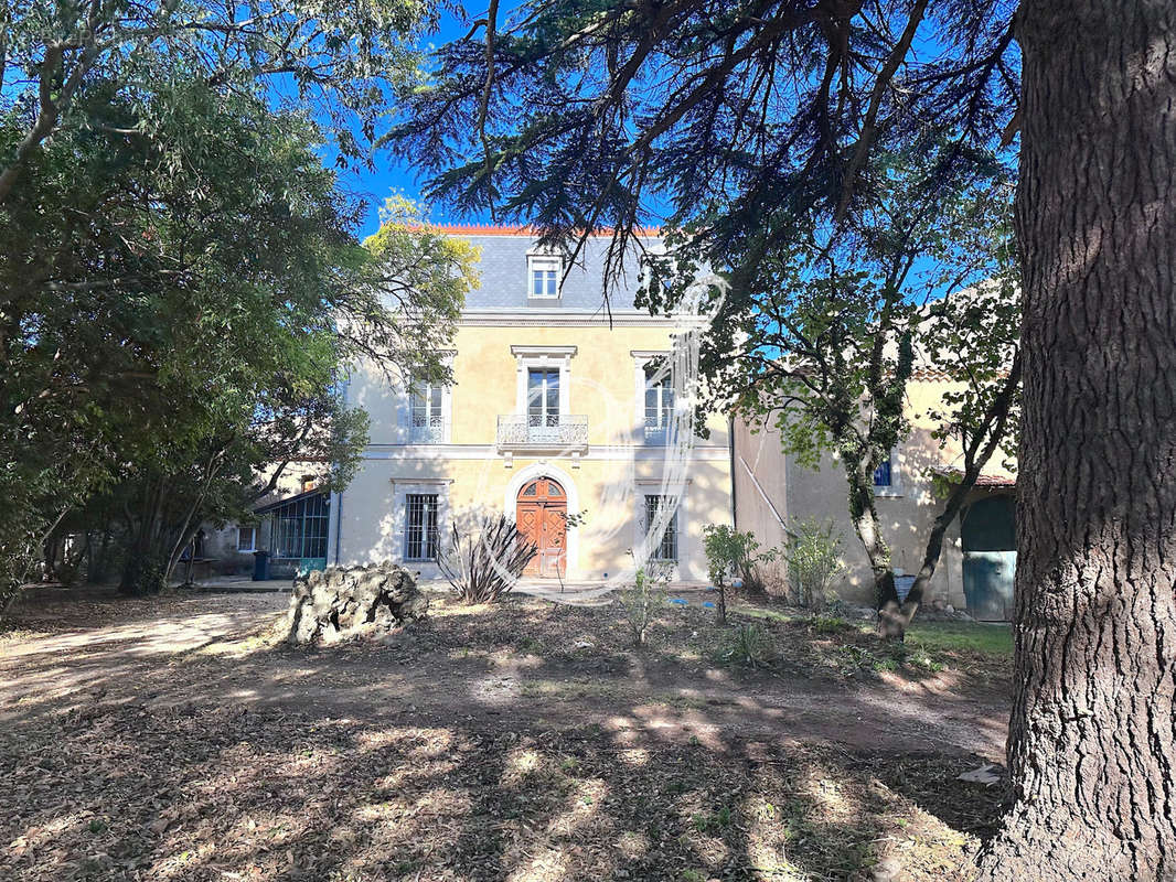 Maison à MONTPELLIER