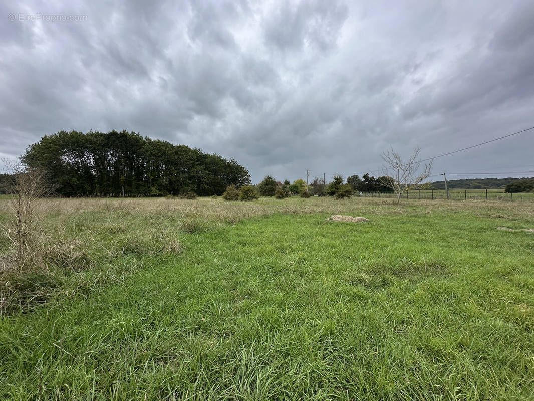 Terrain à CHENAUD