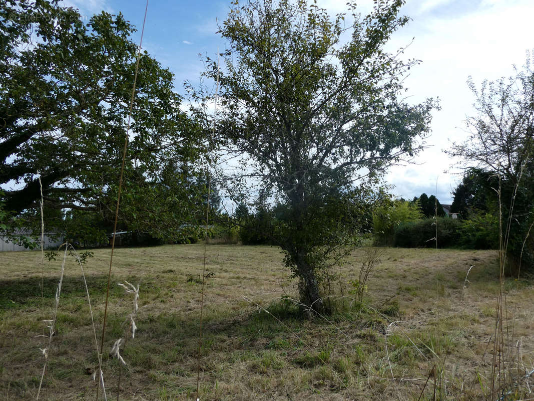 Terrain à LA BUSSIERE