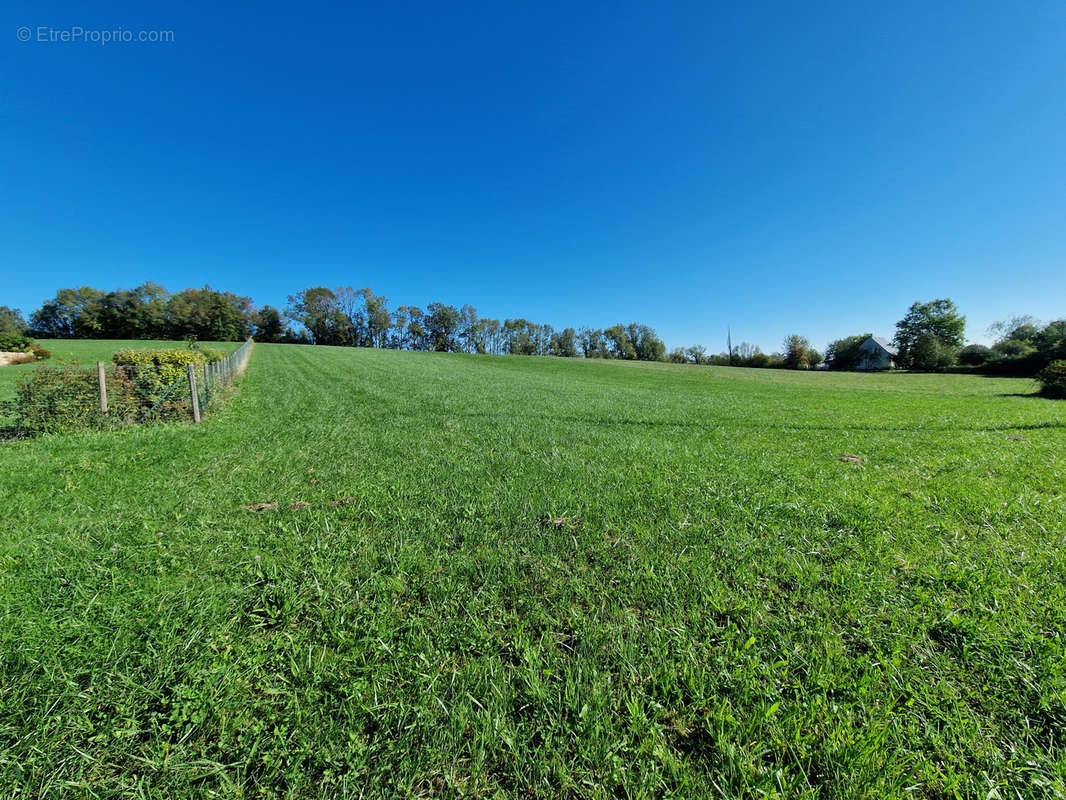 Terrain à CHAVAGNAC