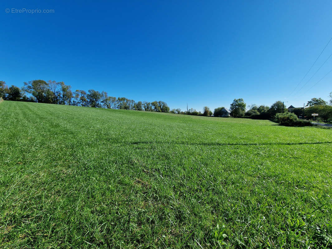 Terrain à CHAVAGNAC